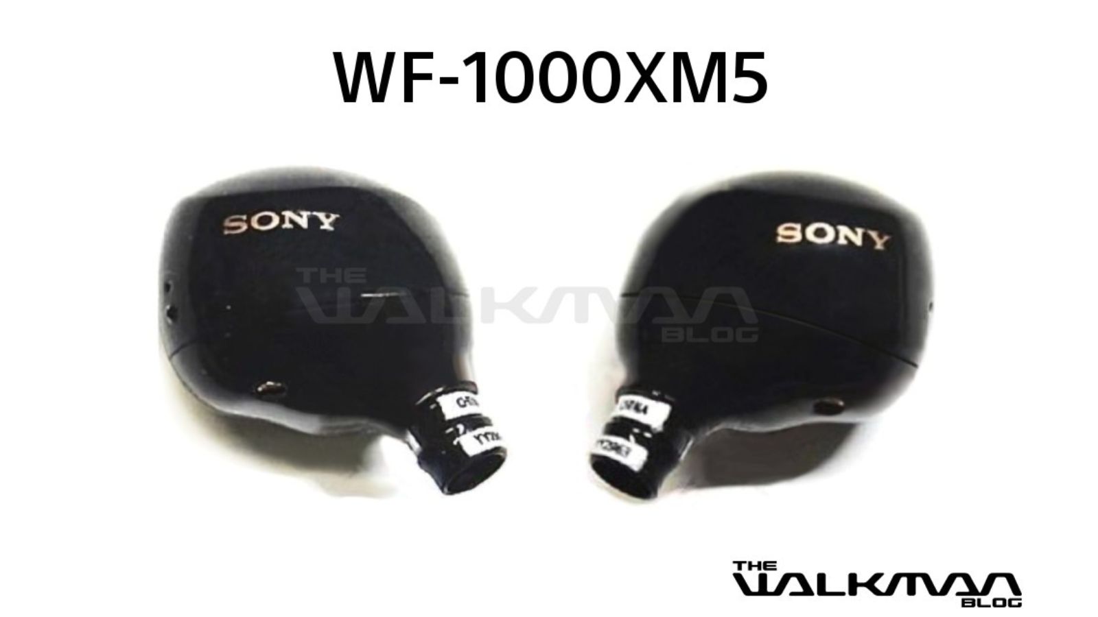 Sony WF-1000XM5 vaza