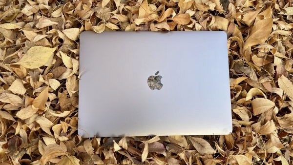 MacBook Air em folhas