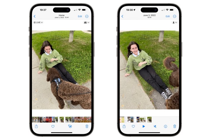 Dois iPhones mostrando o aplicativo Fotos com Live Photo e Live Photo convertido em vídeo.