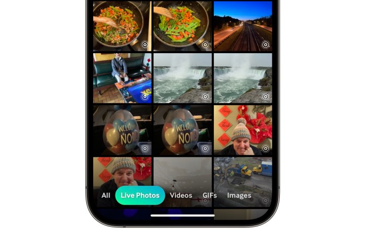 iPhone mostrando Giphy navegando por Live Photos.