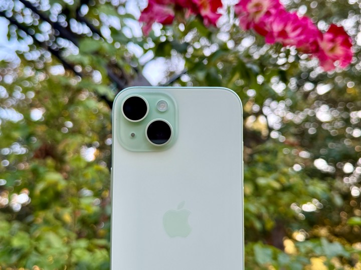 Um iPhone 15 verde em frente a uma planta.