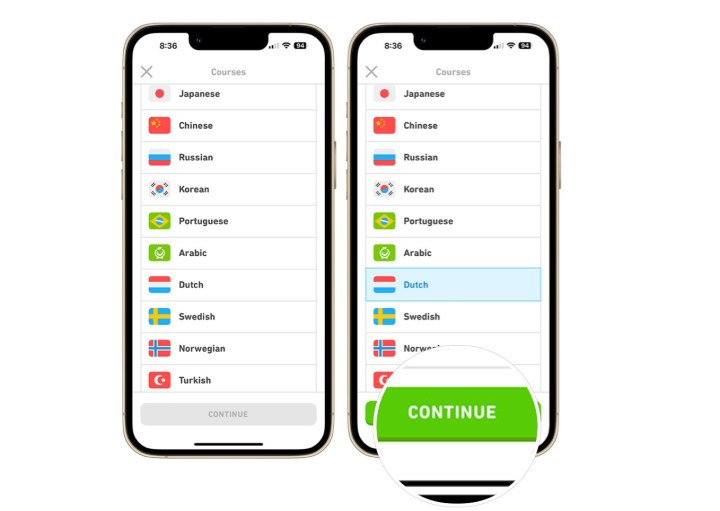 Uma captura de tela mostrando como adicionar um novo idioma à sua conta Duolingo no iPhone.