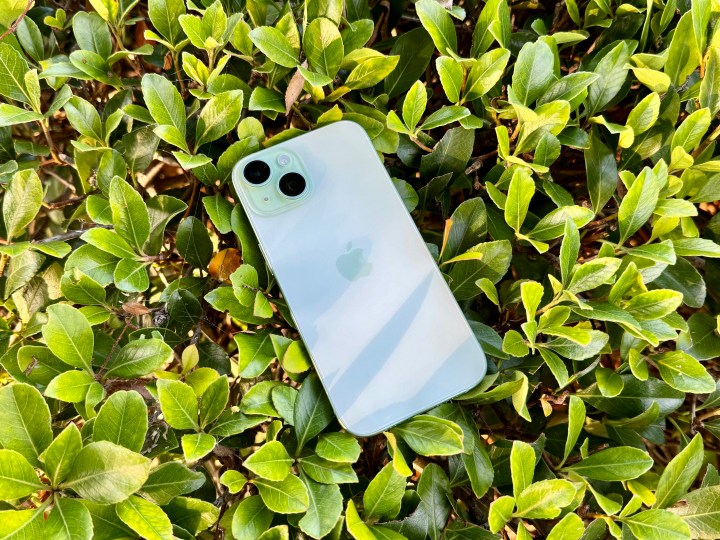 Um iPhone 15 verde num arbusto.