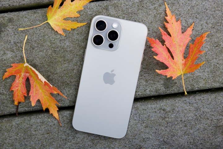 iPhone 15 Pro Max caído no chão rodeado de folhas.