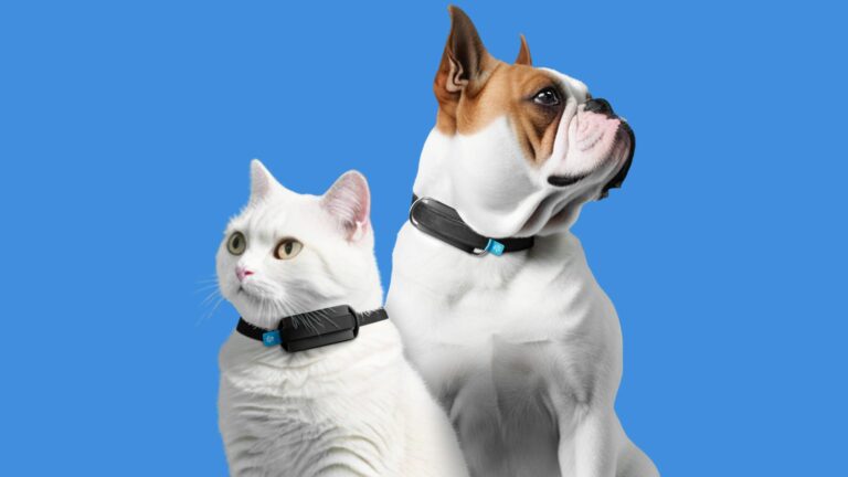 CES 2024: Invoxia lança IA wearable que monitora a saúde do seu animal de estimação