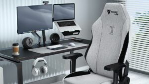 Secretlab TITAN Evo Lite