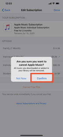 confirmar-assinatura-cancelar-iphone