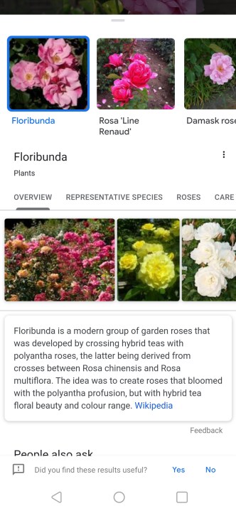 Como fazer pesquisa reversa de uma imagem usando o Google Lens.