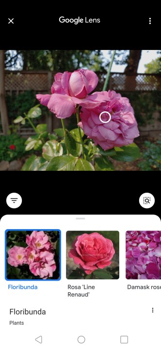 Como fazer pesquisa reversa de uma imagem usando o Google Lens.