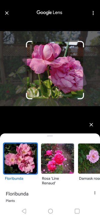 Como fazer pesquisa reversa de uma imagem usando o Google Lens.