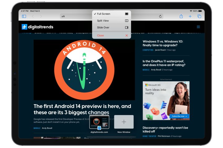 Safari no iPad mostrando o menu Multitarefa View.