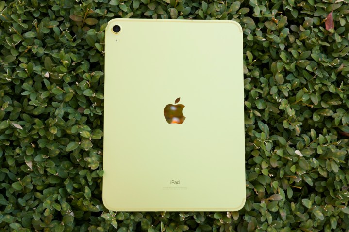 O iPad amarelo (2022) deitado de bruços sobre um arbusto verde.