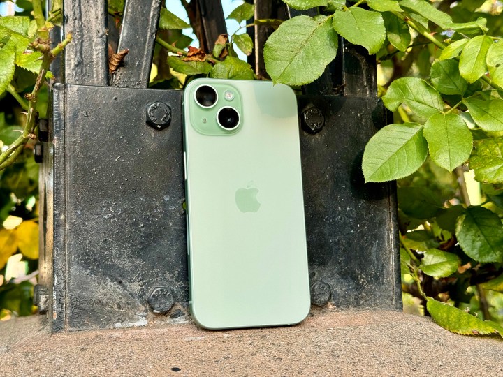 iPhone 15 verde encostado em um arco em um jardim de rosas.